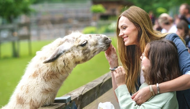 Woman and child touching a lama